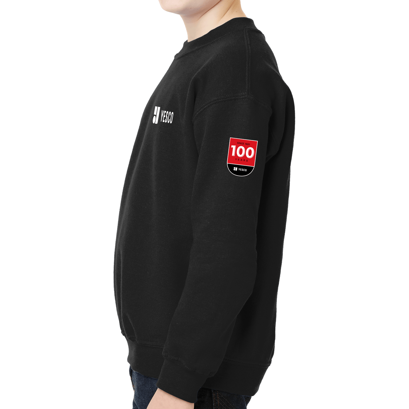 100 Years- Gildan - Youth Heavy Blend Crewneck Sweatshirt