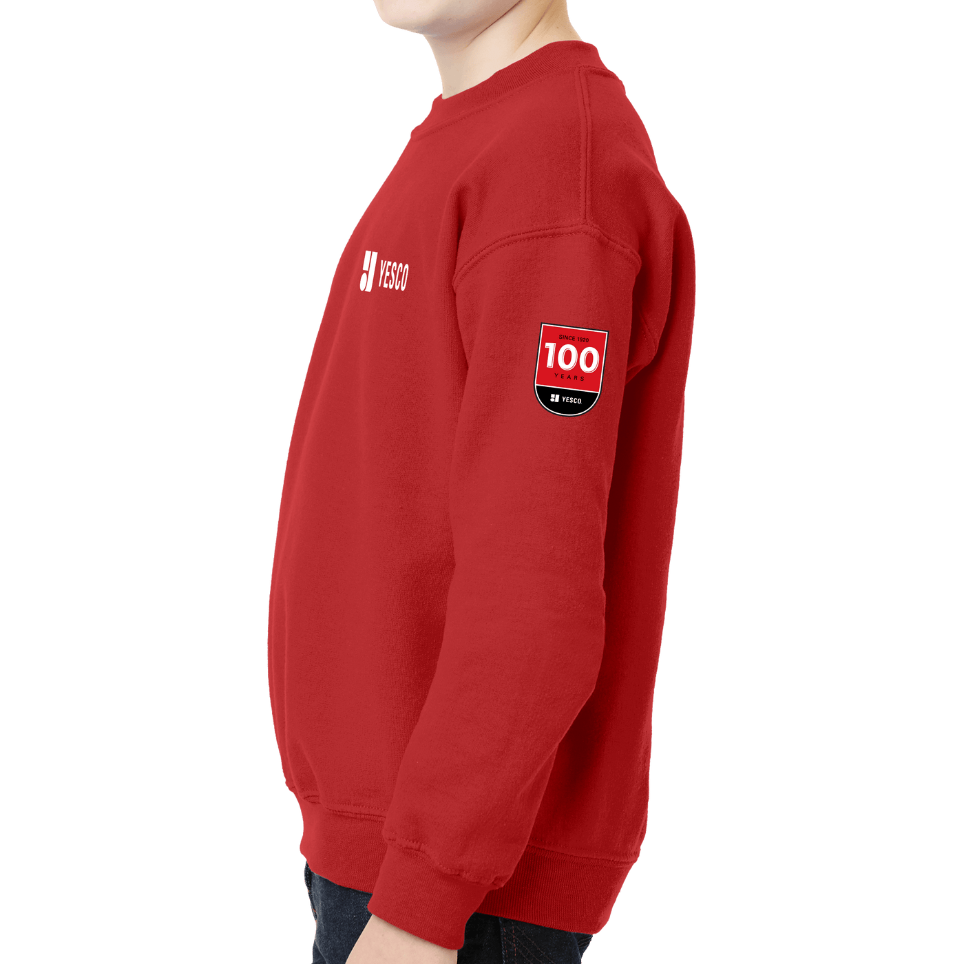 100 Years- Gildan - Youth Heavy Blend Crewneck Sweatshirt