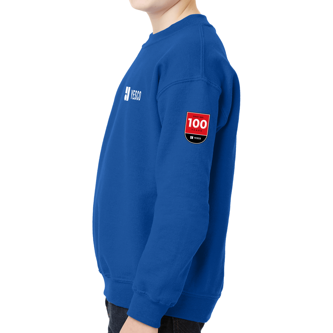 100 Years- Gildan - Youth Heavy Blend Crewneck Sweatshirt