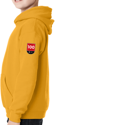 100 Years- Gildan - Youth Heavy Blend Hooded Sweatshirt