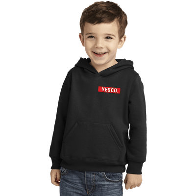 Outdoor- Port & Company Toddler Core Fleece Pullover Hooded Sweatshirt