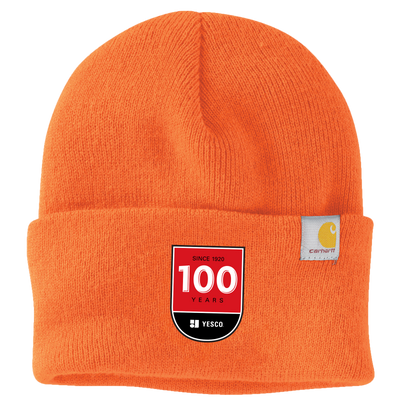 100 Years - Carhartt Watch Cap 2.0